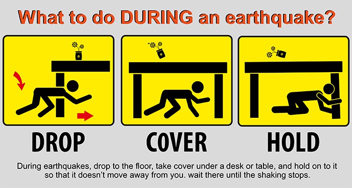 During an earthquake, drop to the floor, take cover under a desk or table, and hold onto it until the shaking stops.